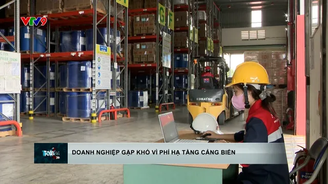 Doanh nghiệp gặp khó vì phí hạ tầng cảng biển