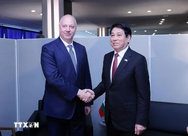 Bulgarian journalist highlights strong momentum in Vietnam – Bulgaria relations - Ảnh 1.