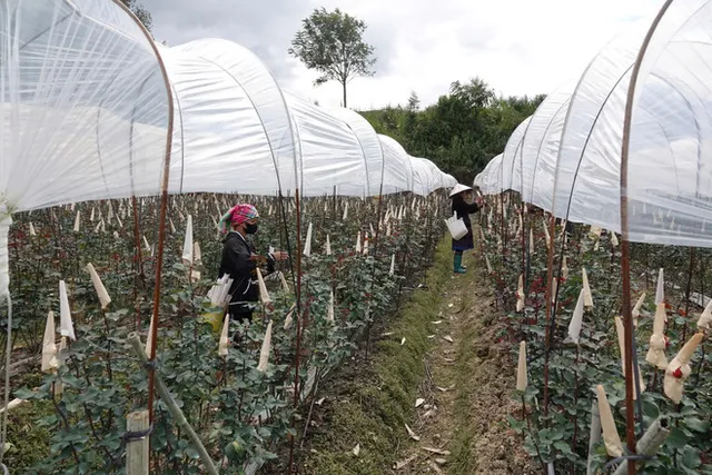 Party chief’s official visit to Finland expected to strengthen traditional ties - Ảnh 2.