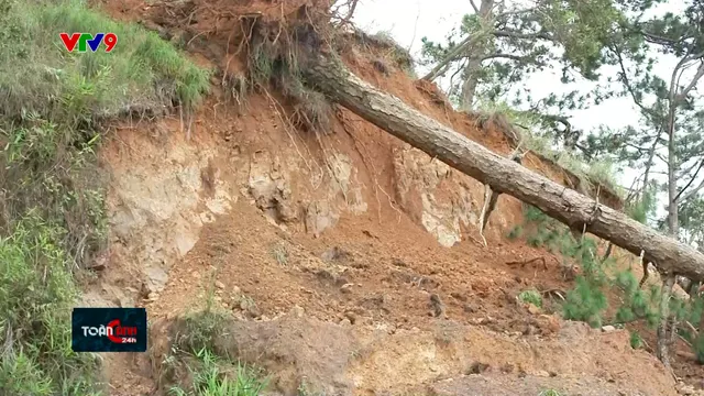 Tập trung khắc phục sạt lở, sụt lún trên đèo D'ran Lâm Đồng