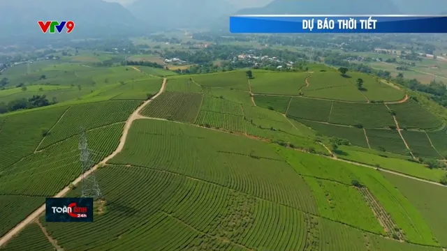 Dự báo thời tiết (29/10/2025)