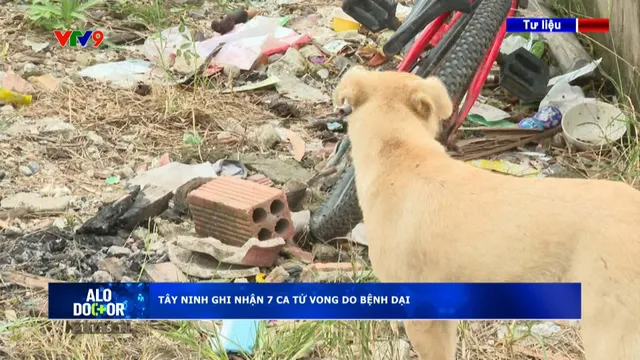 Alo Doctor (30/10/2025): Tây Ninh ghi nhận 7 ca tử vong do bệnh dại