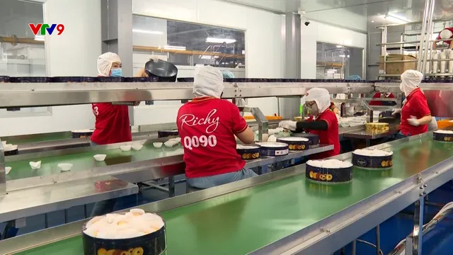 Bắt đầu sản xuất hàng tết