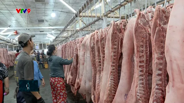 Lỗ hổng thị trường thịt heo - Cần sớm có sàn giao dịch điện tử