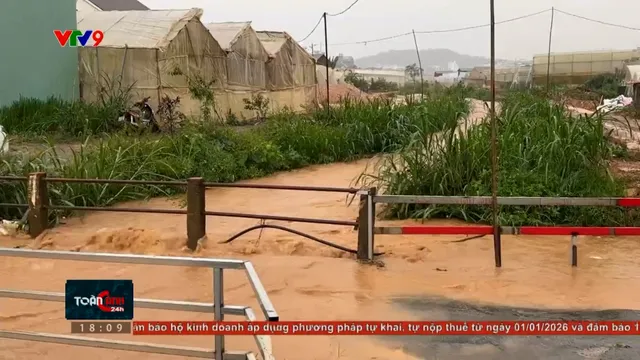 Cảnh báo suối nhỏ - Nguy hiểm lớn