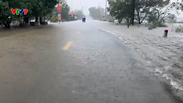 Quảng Trị sơ tán dân vùng ngập lũ