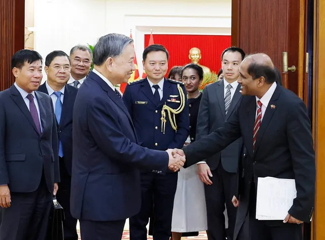 Party chief congratulates Singaporean ambassador on successful tenure - Ảnh 1.