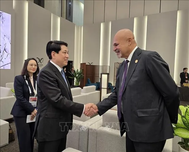 State President meets APEC leaders in RoK - Ảnh 1.