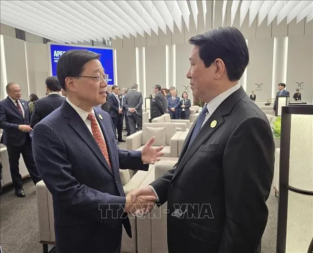 State President meets APEC leaders in RoK - Ảnh 2.