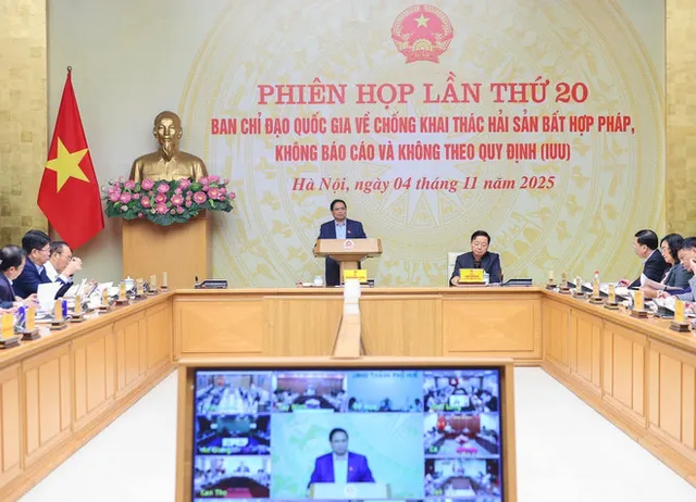 PM calls for strong action to eradicate illegal fishing in Vietnam - Ảnh 1.