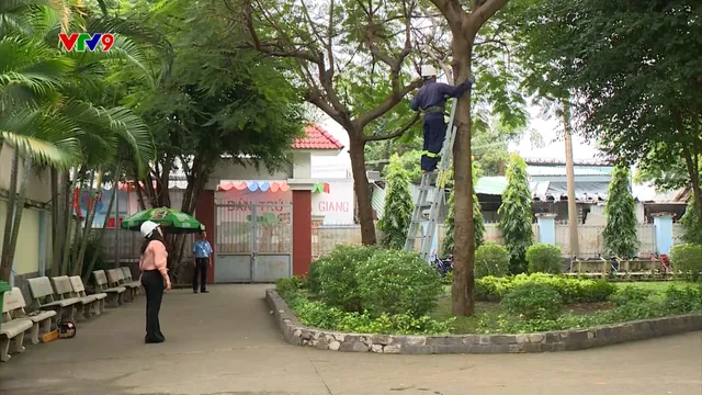 Trường học TP. Hồ Chí Minh sẵn sàng ứng phó bão số 13