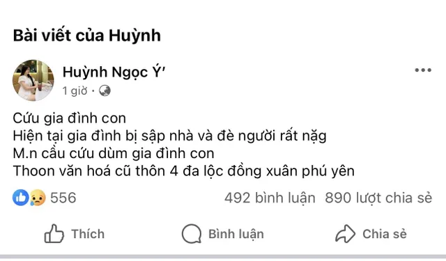 CẬP NHẬT: Bão số 13 đổ bộ đất liền các tỉnh Đắk Lắk - Gia Lai gây nhiều thiệt hại - Ảnh 3.