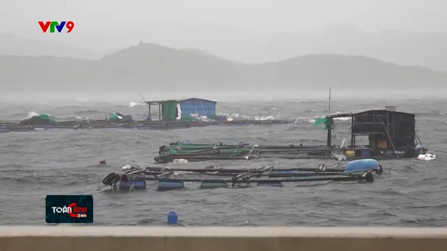 Khánh Hòa quyết không để người dân trên lồng bè khi bão đổ bộ