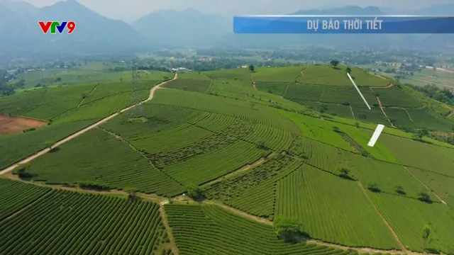 Dự báo thời tiết (07/11/2025)