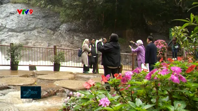 Lâm Đồng: Tăng tốc thu hút khách quốc tế