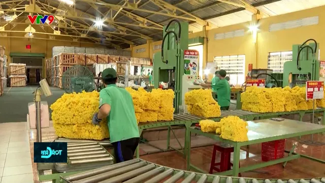 Sản phẩm xanh - Chìa khóa mở rộng chuỗi cung ứng