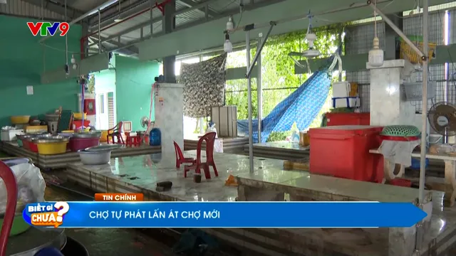 Thời sự: Biết gì chưa (08/11/2025)