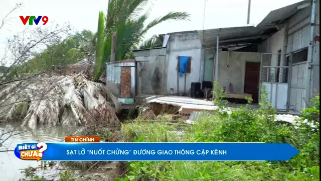 Thời sự: Biết gì chưa (09/11/2025)