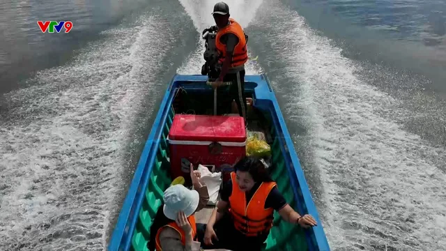 Ấn tượng Phương Nam: Khám phá Làng bè Long Sơn