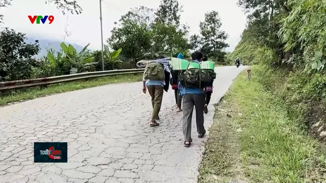 Hệ lụy mất rừng bởi người dân di cư tự do