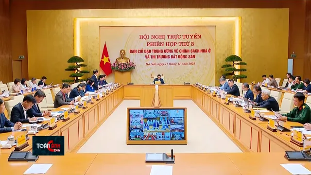 Thời sự: Toàn cảnh 24h (11/11/2025)