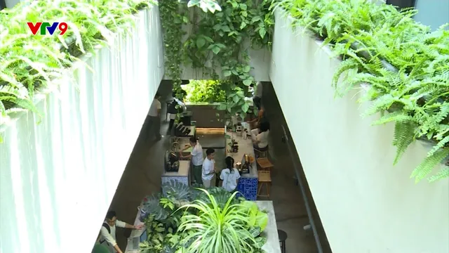 Gen Z ngày càng thích học và làm việc tại quán cafe