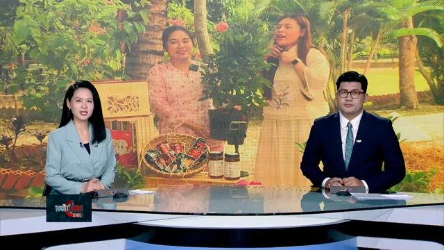 Thời sự: Toàn cảnh 24h (13/11/2025)