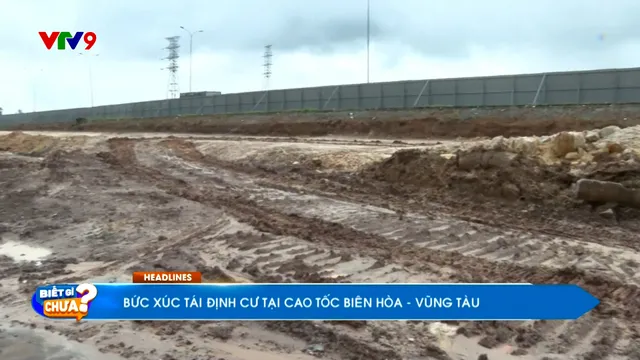 Thời sự: Biết gì chưa (14/11/2025)