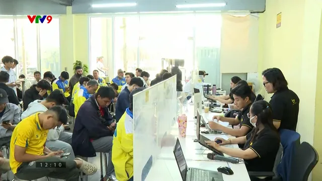 Hiệu quả cấp bằng lái qua ứng dụng điện thoại