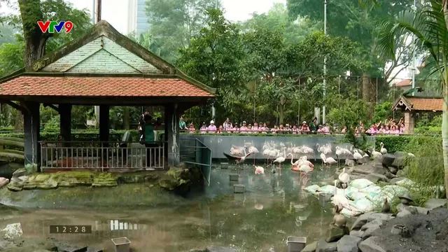 Thảo Cầm Viên - Ngôi nhà của những loài thú quý hiếm