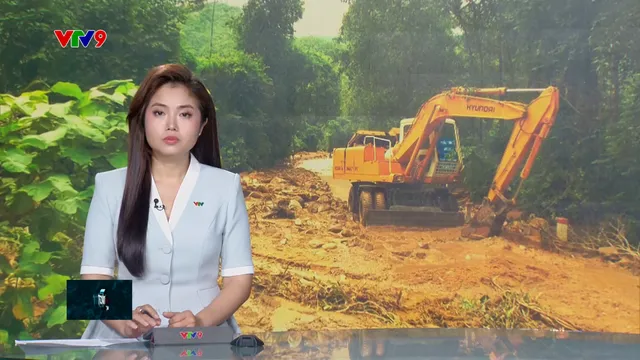 Thời sự: Toàn cảnh 24h (17/1/2025)