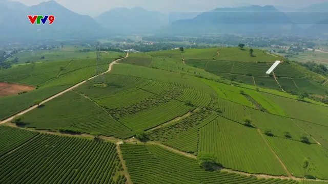 Dự báo thời tiết (19/11/2025)