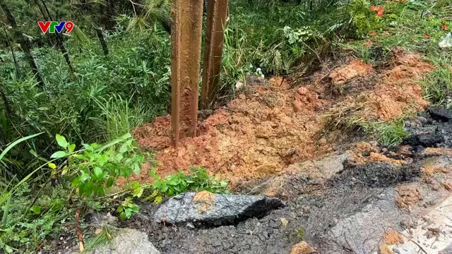 Thông tin về vụ sạt lở đèo Minosa