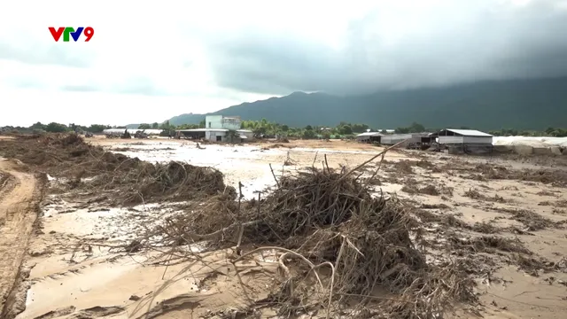 Đường dây nóng AloV9  (17/11/2025): Khẩn trương điều tra nguyên nhân vỡ hồ chứa nước