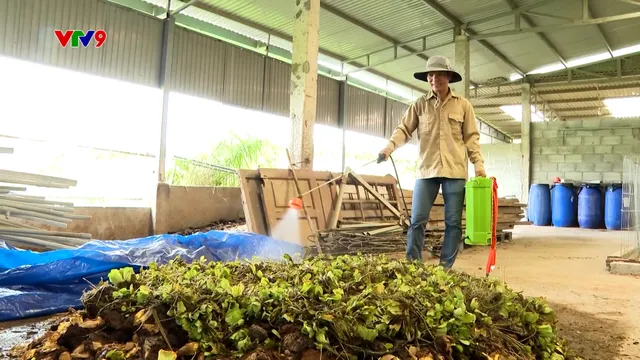 Hành trình Net Zero (Số 45/2025): Hành trình "xanh hóa" phụ phẩm nông nghiệp