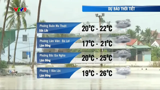 Dự báo thời tiết (21/11/2025)