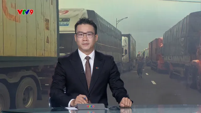 Thời sự: Phương Nam hôm nay (22/11/2025)