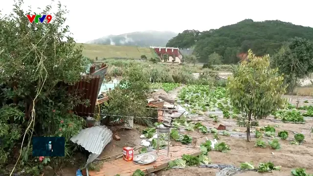 Lâm Đồng ước tính thiệt hại hơn 1.000 tỷ đồng