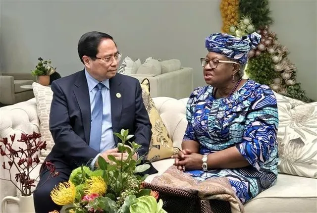 PM meets with foreign leaders, representatives of international organisations in South Africa - Ảnh 2.