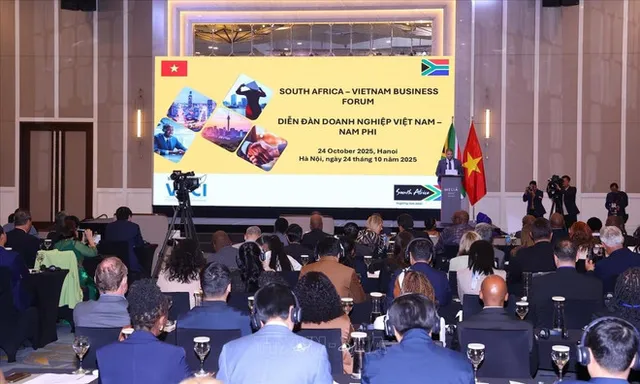 Vietnam, South Africa promote partnership for cooperation, development - Ảnh 1.