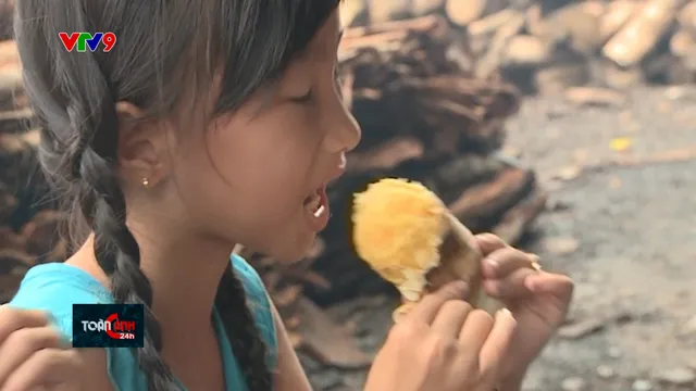 Vị quê từ những mùa khoai