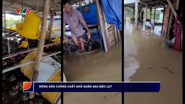 Nông dân chồng chất khó khăn sau bão lụt