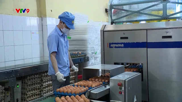 Bình ổn giá cả hàng hóa dịp cuối năm và Tết