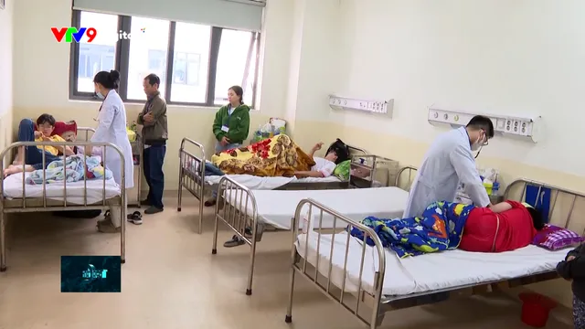 Sốt xuất huyết tăng cao, cần đẩy mạnh công tác dự phòng