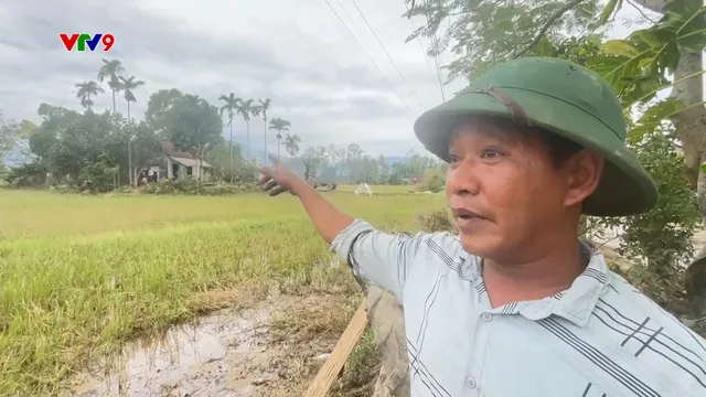 Những anh hùng trong mưa lũ