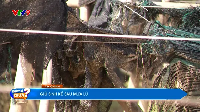 Thời sự: Biết gì chưa (03/12/2025)