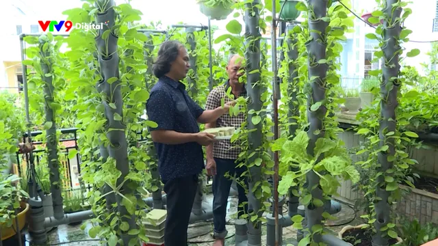 Hành trình Net Zero (Số 47/2025): Nông nghiệp đô thị - Giải pháp cho không gian xanh