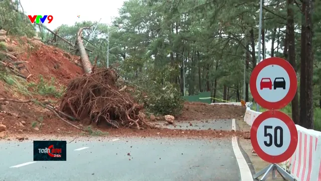 Đà Lạt: Nỗ lực khơi thông các cung đường đèo