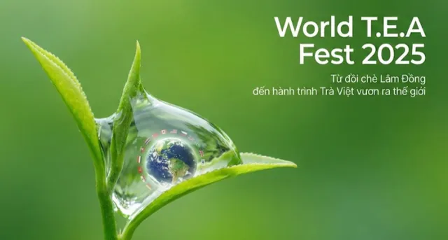 World T.E.A Fest 2025: Từ đồi chè Lâm Đồng đến hành trình Trà Việt vươn ra thế giới