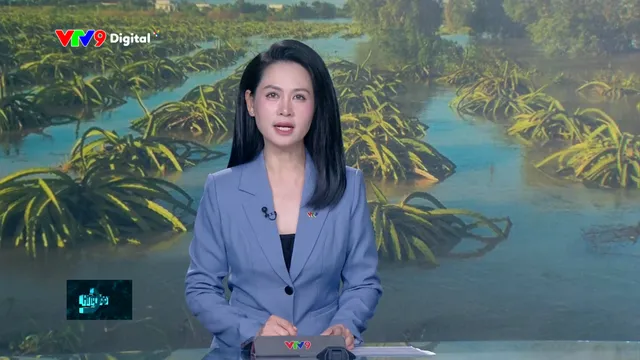 Thời sự: Toàn cảnh 24h (06/12/2025)